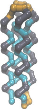 coarse-grained protein (hydrophilic beads face inwards)